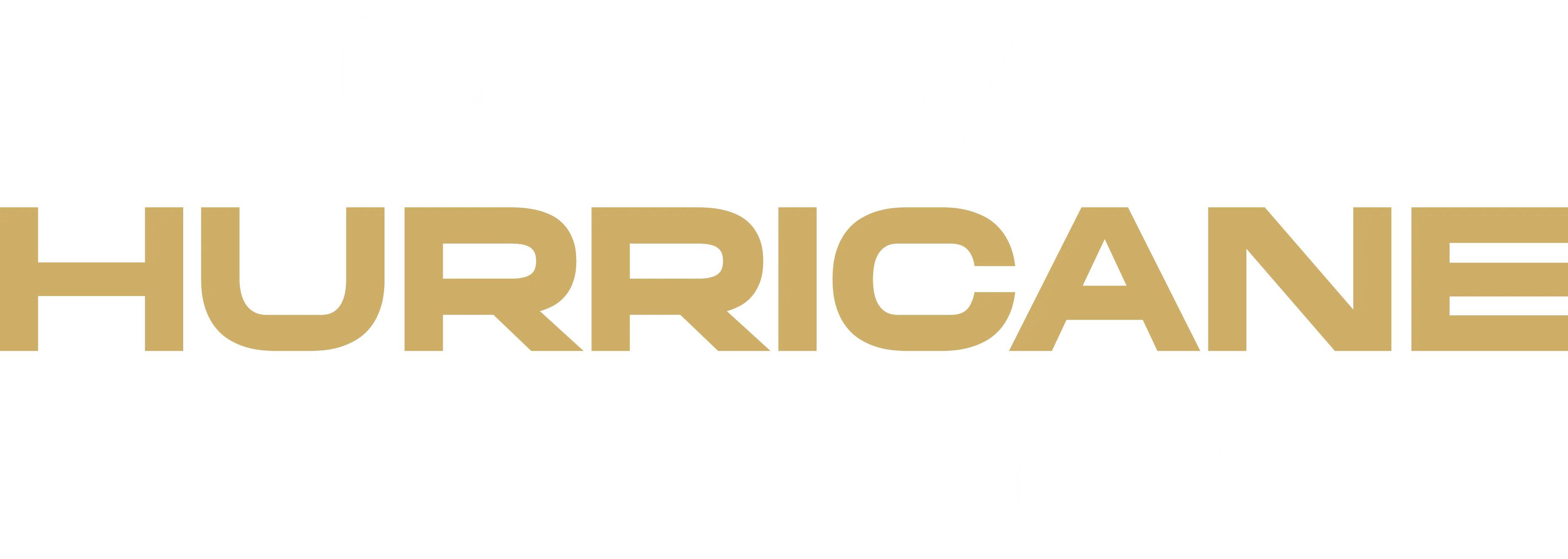 FL Hurricane Proof Logo